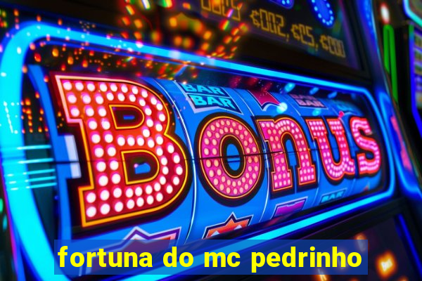 fortuna do mc pedrinho